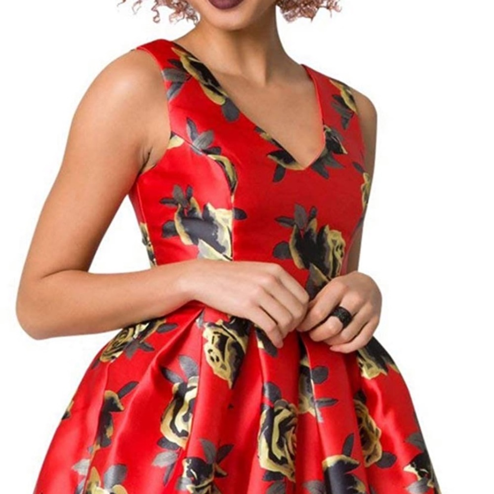 🌹 Vintage Prom Dress 🌹